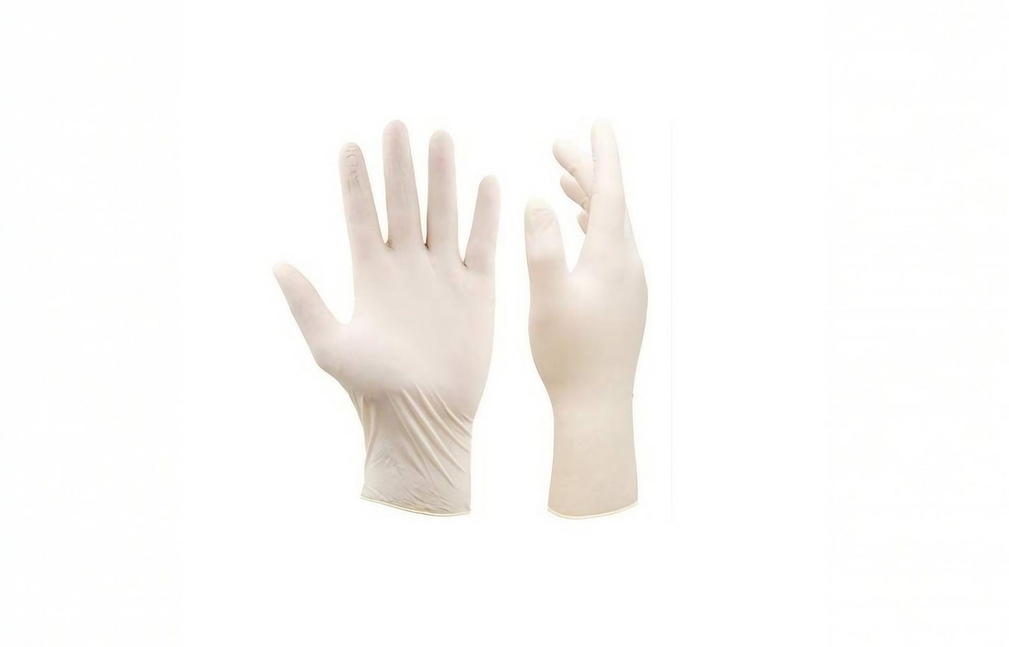 Latex Gloves Medium / 1 Pkt