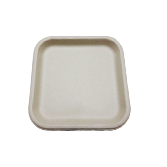 10-Inch Bagasse Square Plates 100% Compostable